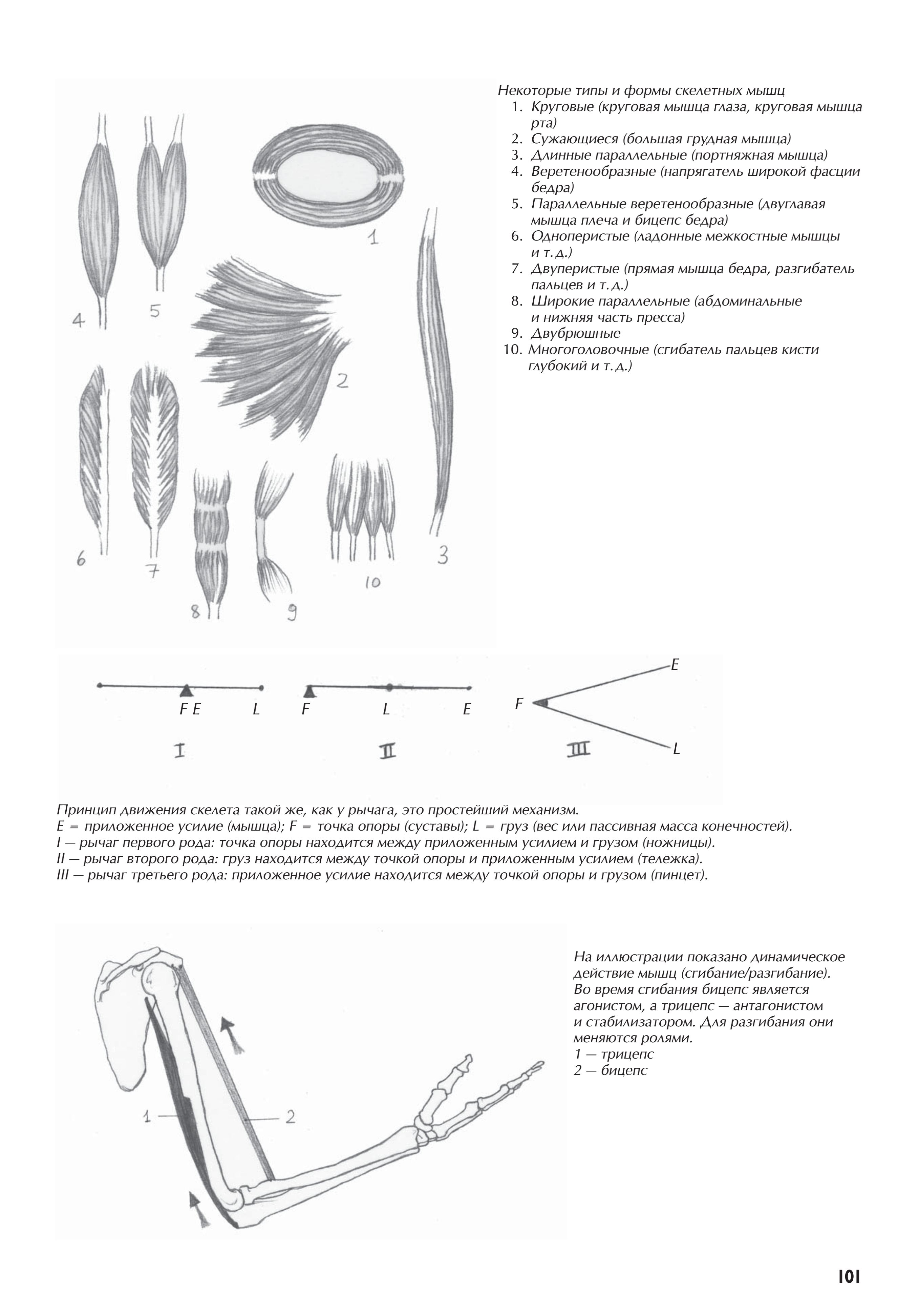 آموزش نقاشی طراحی سیاه قلم شهرری